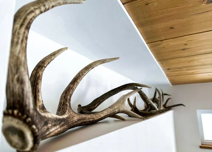 Goldberg-aparts 아파트 라우리스